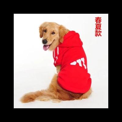 义乌禁止遛狗时间？根据规定，杭州市区内的遛狗时间为每天晚上7点至第二天早上7点。那么，义乌禁止遛狗时间？一起来了解下吧。